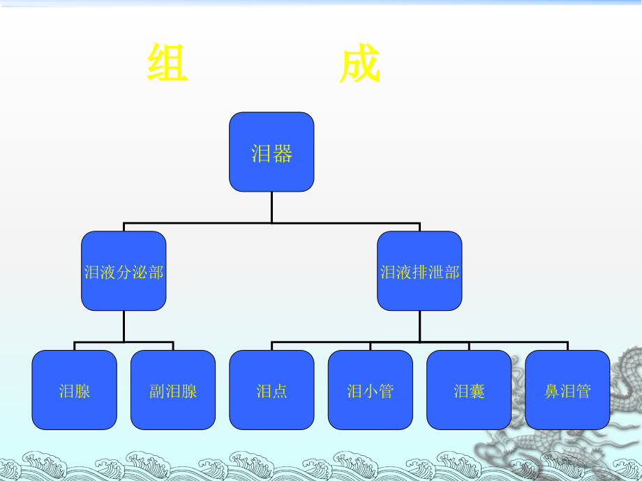 泪器解剖.ppt_第2页