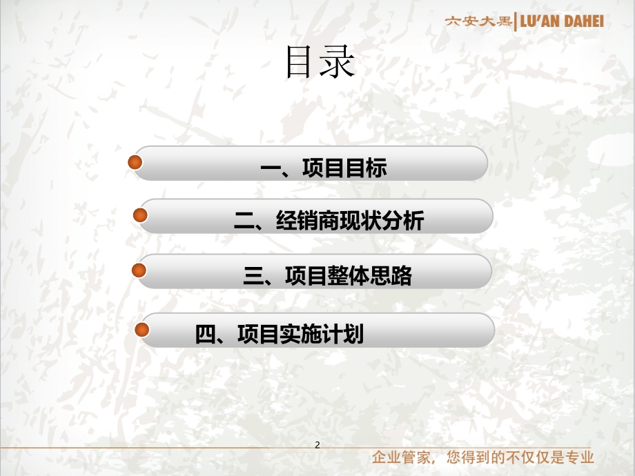 某汽车品牌销量提升项目方案.ppt_第2页