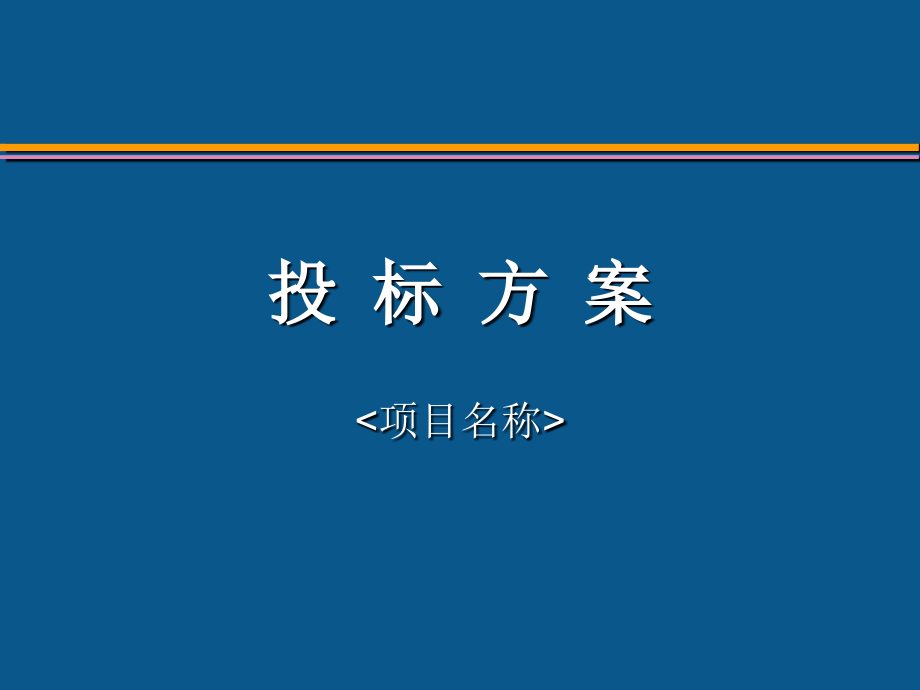 投标方案PPT模板.ppt_第1页