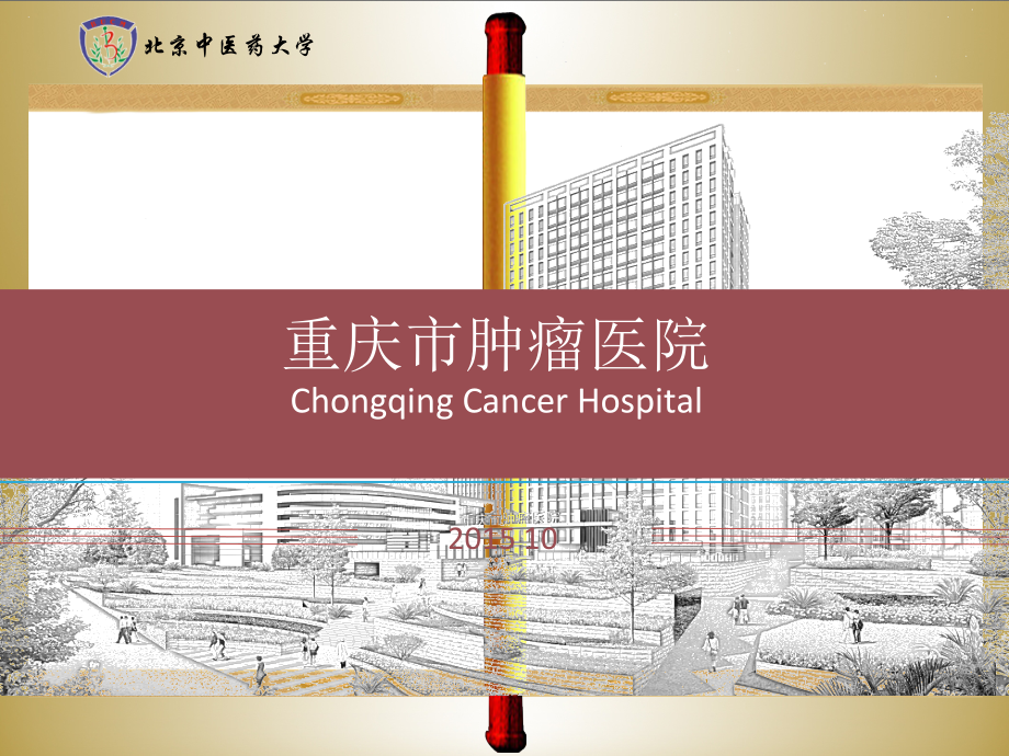 过度乳房切除ppt课件.ppt_第1页