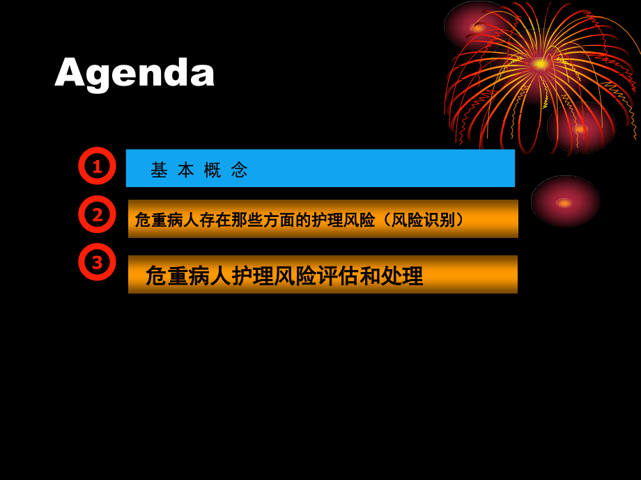 危重病人的风险评估.ppt_第2页