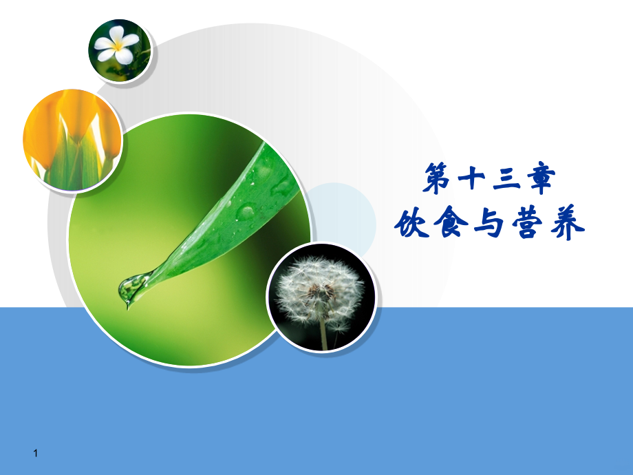 营养与饮食PPT课件.ppt_第1页