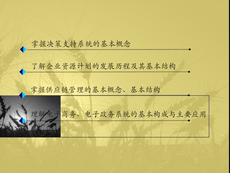 管理信息系统的典型应用与发展.ppt_第2页