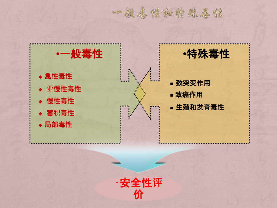环境化学物的特殊毒性及其评价-遗传毒性.ppt_第2页