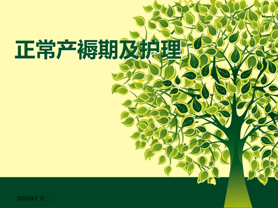 正常产褥期及护理.ppt_第1页