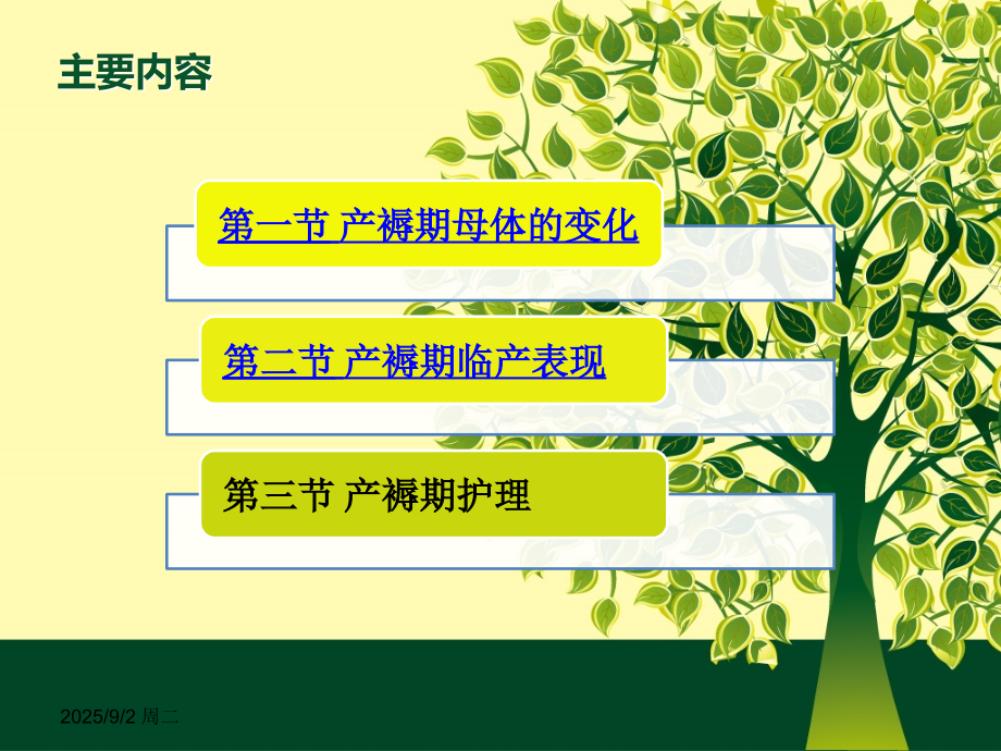 正常产褥期及护理.ppt_第2页