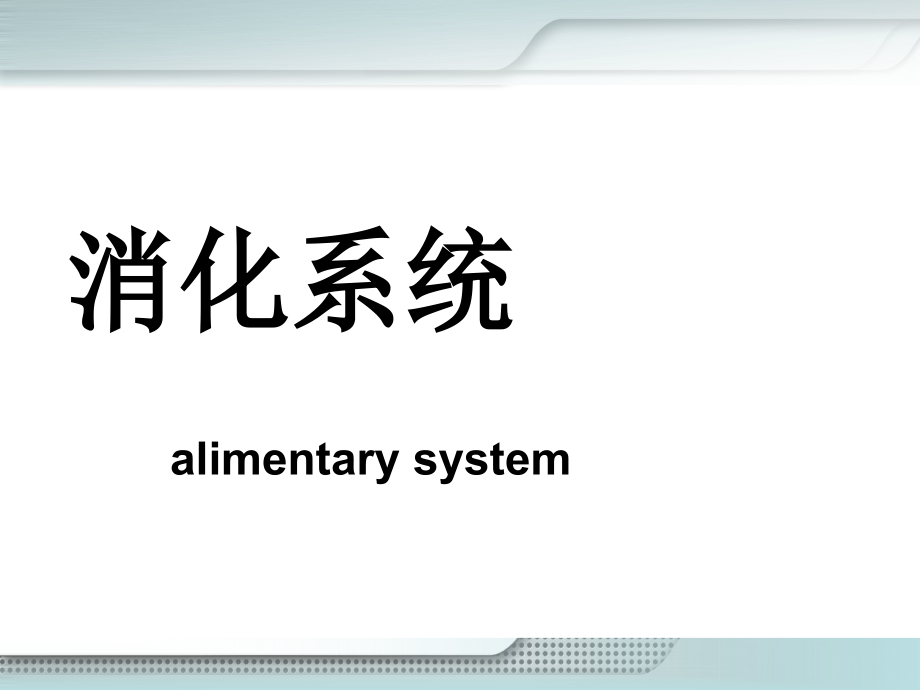 消化系统新ppt课件.ppt_第1页