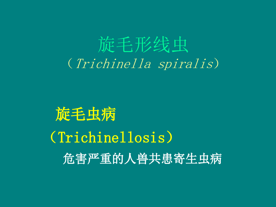 寄生虫-旋毛虫.ppt_第1页