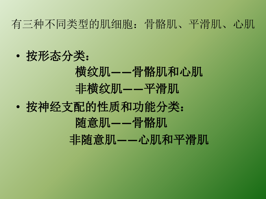 骨骼肌、心肌和平滑肌细胞生理ppt课件.ppt_第2页
