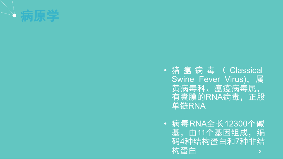 猪瘟ppt课件.ppt_第2页