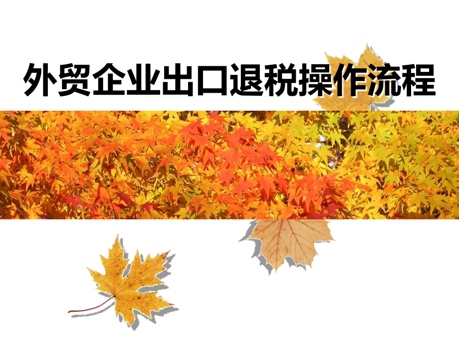 外贸企业出口退税操作流程.ppt_第1页