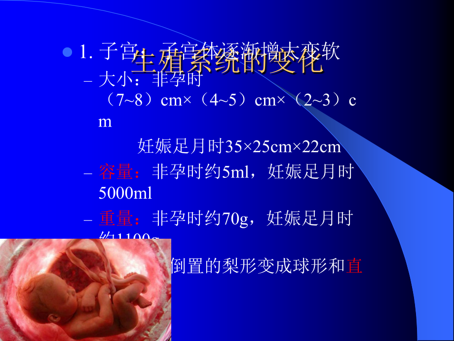 妊娠期母体变化.pptx_第2页