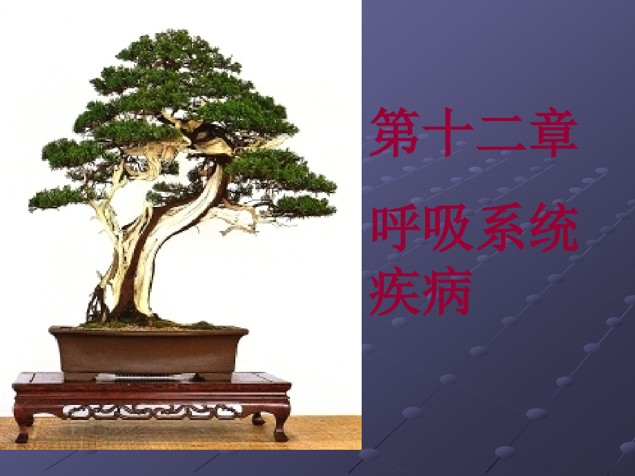 肺炎(病理学)ppt课件.ppt_第1页