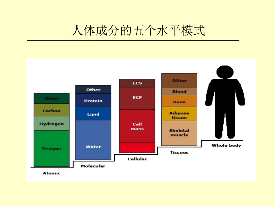 人体成分分析的临床应用.ppt_第2页