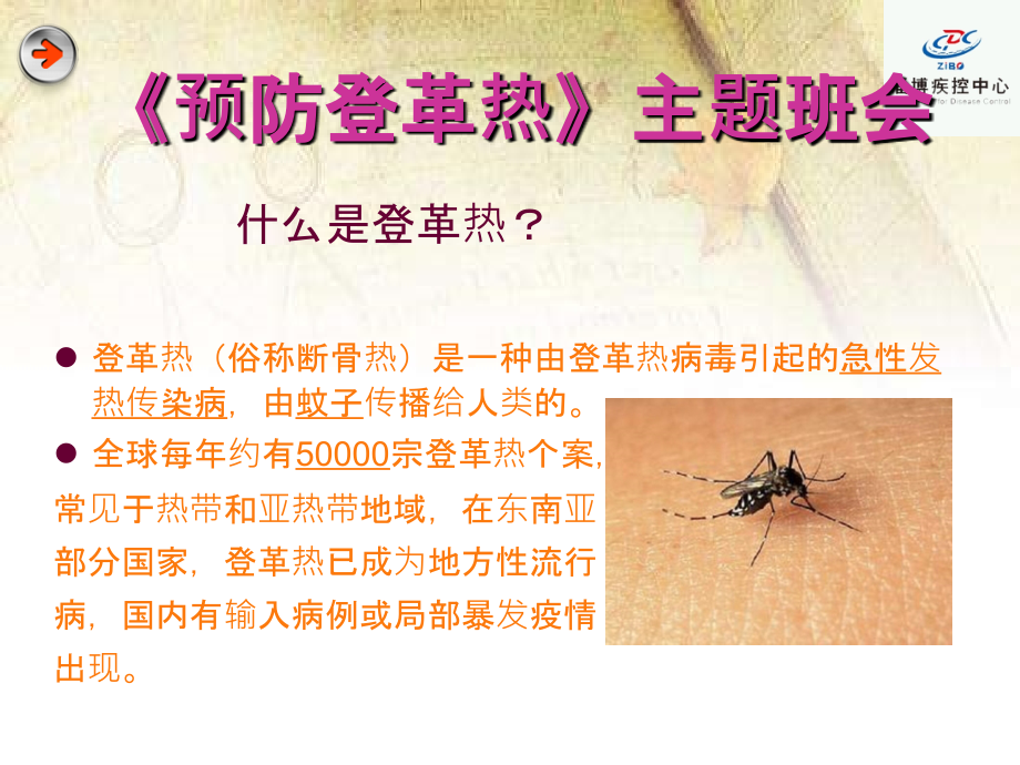 预防登革热主题班会ppt课件.ppt_第2页