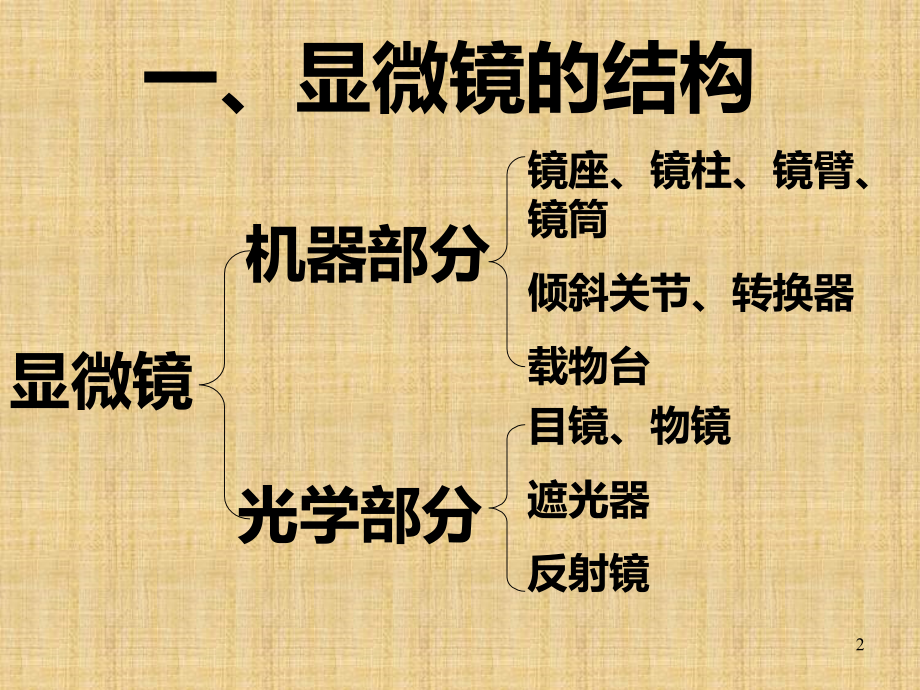 七级生物上显微镜的结构和使用.ppt_第2页