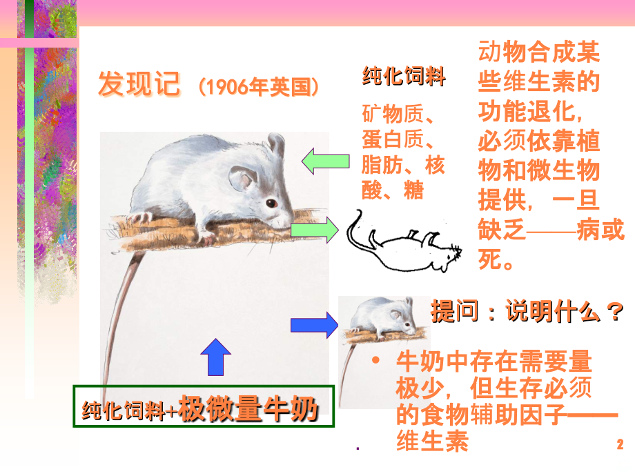 刘老师第六章维生素和辅酶.ppt_第2页
