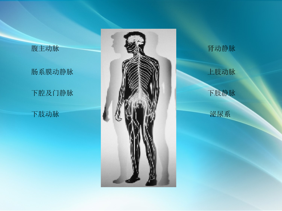 腹部及四肢CTA扫描技术ppt课件.ppt_第2页