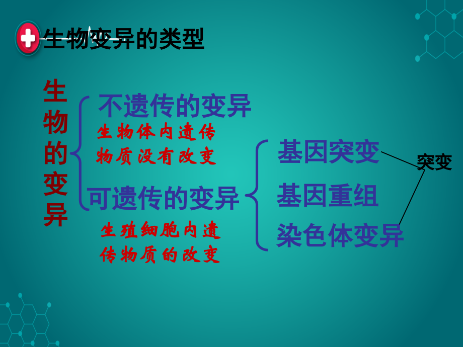 突变、重组进化复习.ppt_第1页