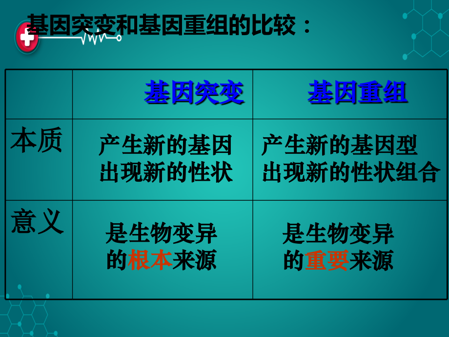 突变、重组进化复习.ppt_第2页
