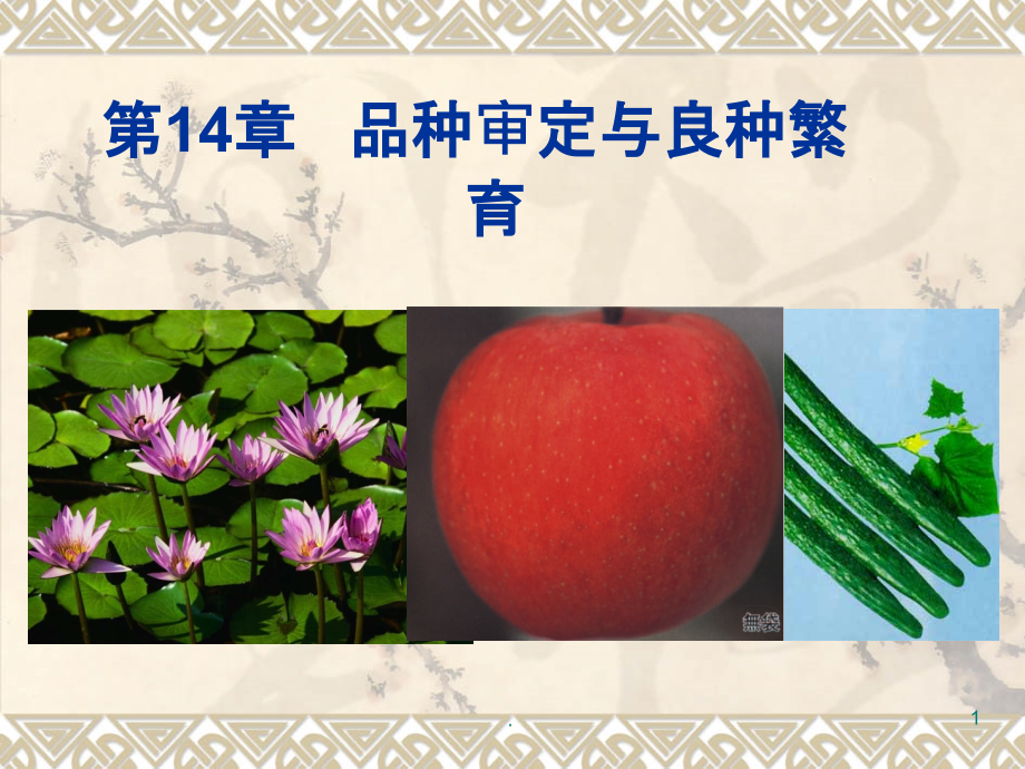 品种审定与良种繁育.ppt_第1页