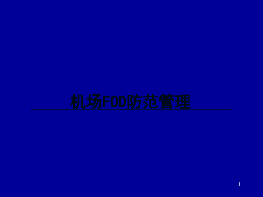 机场FOD防范管理.ppt_第1页
