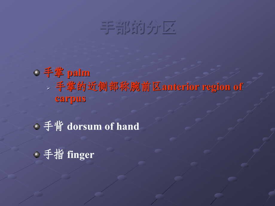 手部局部解剖.ppt_第2页