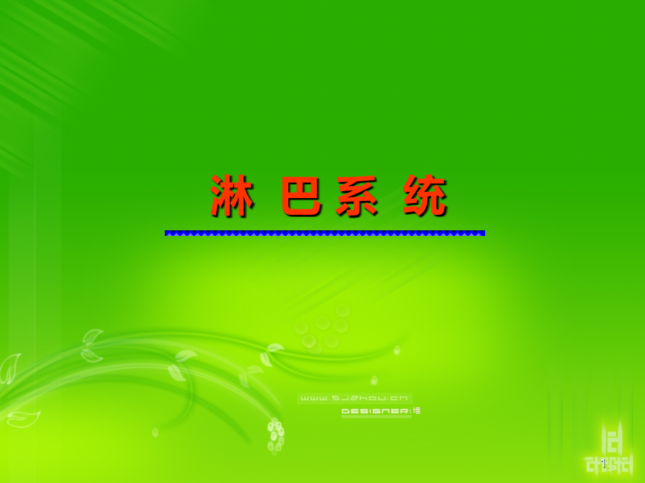 人体解剖淋巴系统.ppt_第1页