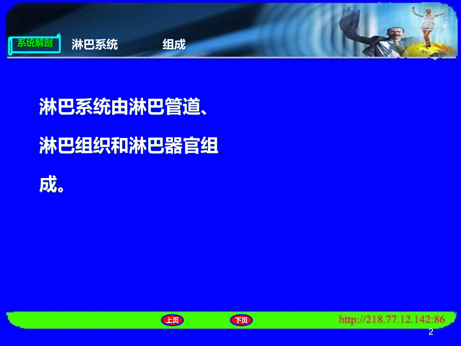 人体解剖淋巴系统.ppt_第2页