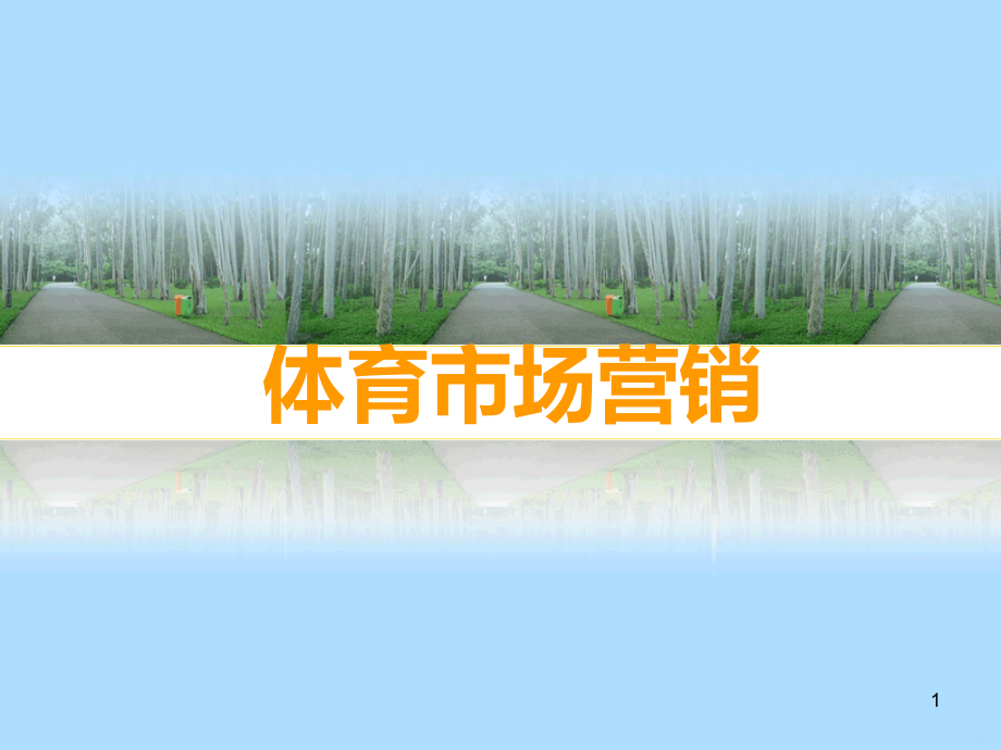体育市场营销概述.ppt_第1页