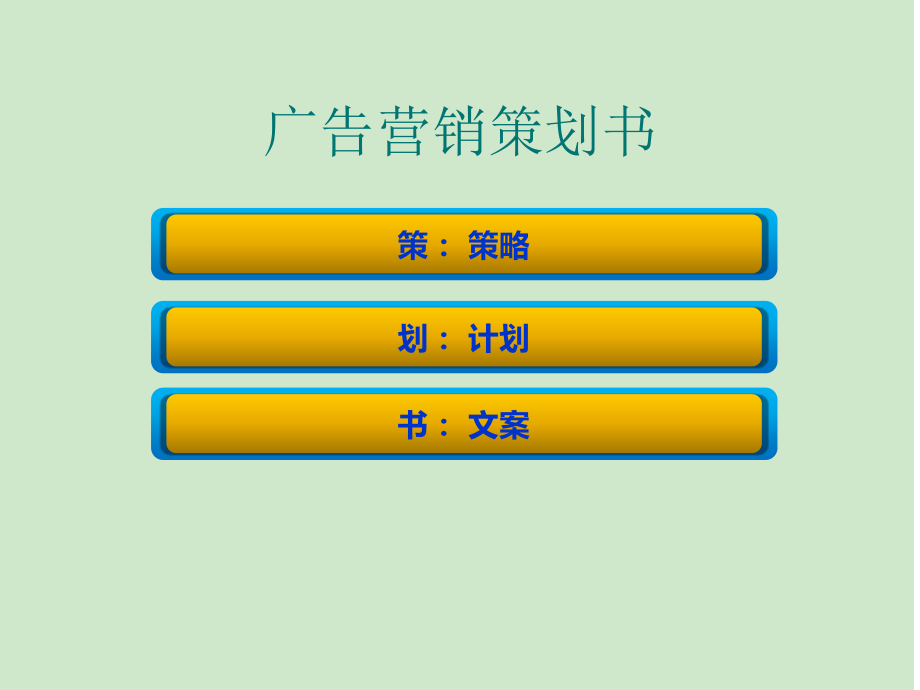 广告营销的策划书及案例.ppt_第2页