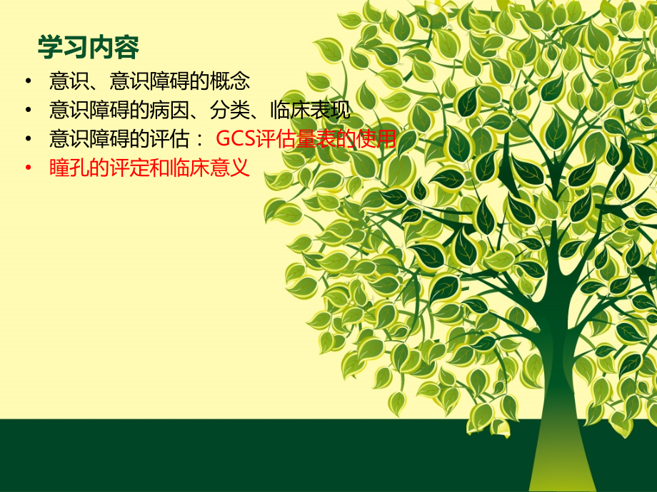 意识障碍的观察与评估.pptx_第2页