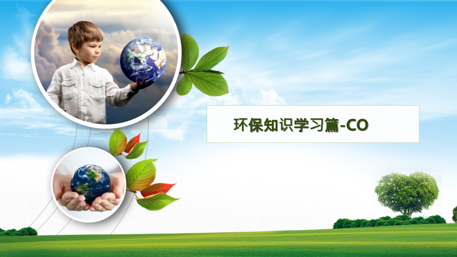 一氧化碳培训资料-PPT课件.pptx_第1页