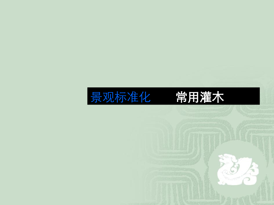 园林绿化常用灌木(图文并茂).ppt_第1页