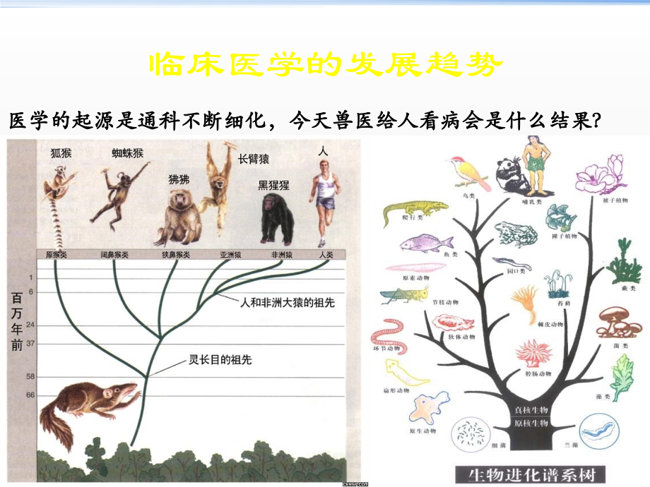 急性肾损伤与危重症救治ppt课件.pptx_第2页