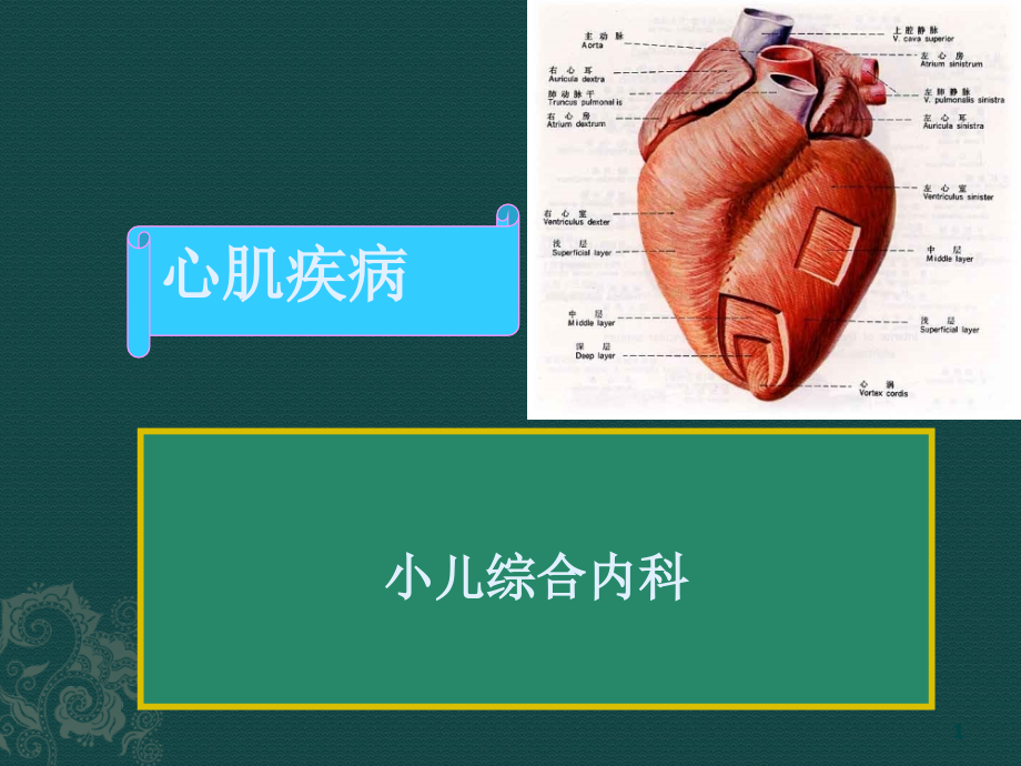心肌疾病-ppt课件.ppt_第1页