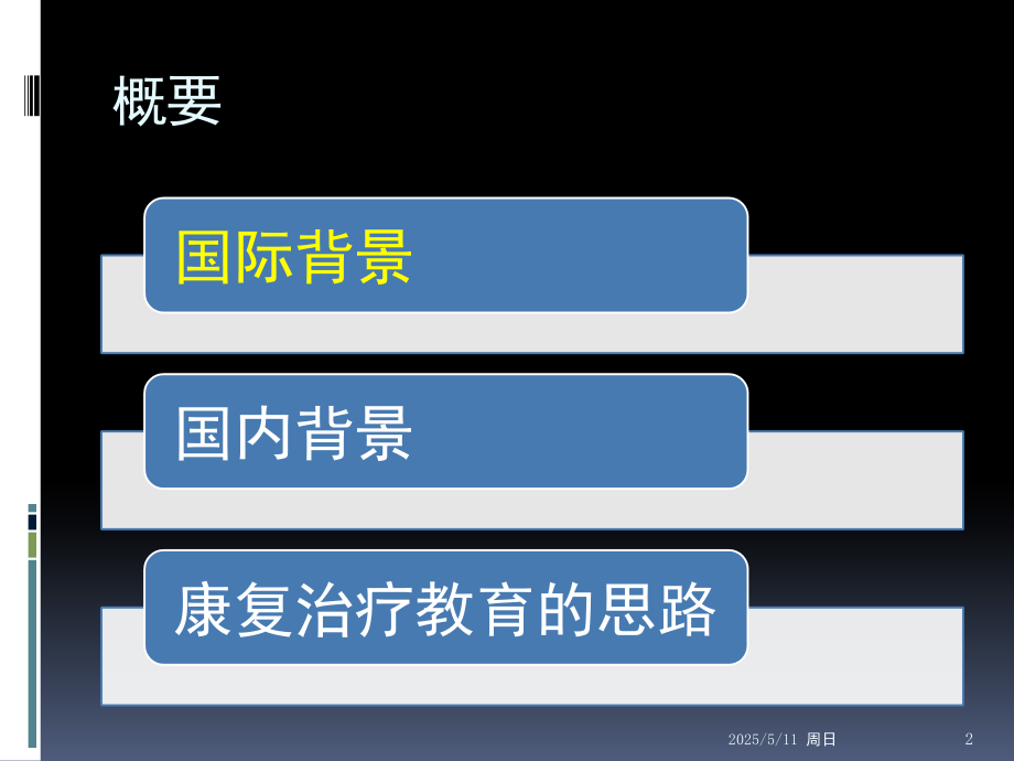 中国康复治疗教育的思路PPT课件.pptx_第2页