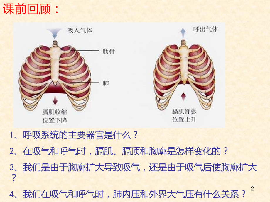 发生在肺内的气体交换10PPT课件.ppt_第2页