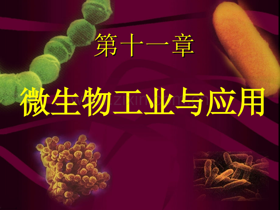 微生物学讲义.pptx_第1页