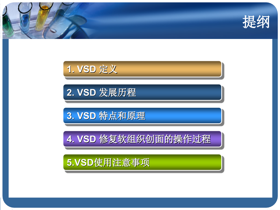 VSD在骨科中的使用.pptx_第2页