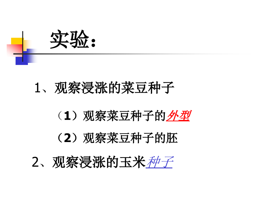 七年级科学种子一生.pptx_第2页