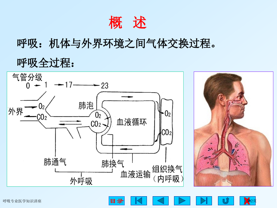 呼吸专业医学知识讲座专家讲座.pptx_第2页