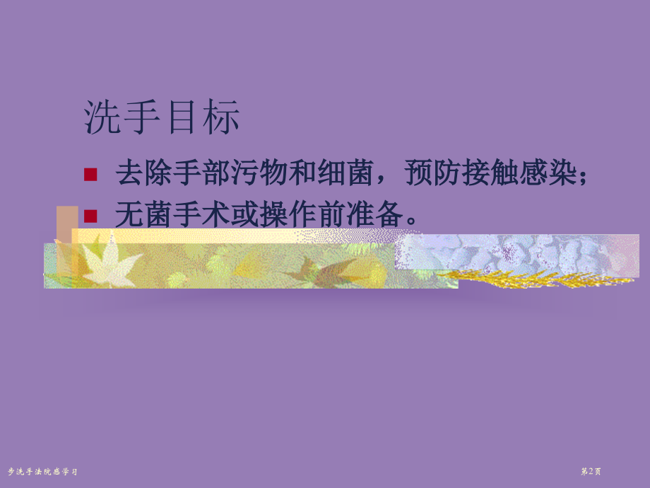 步洗手法院感学习.pptx_第2页