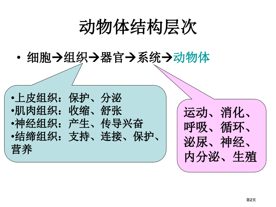 生物个体专题动物公开课一等奖优质课大赛微课获奖课件.pptx_第2页