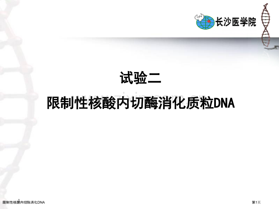限制性核酸内切酶消化DNA专家讲座.pptx_第1页