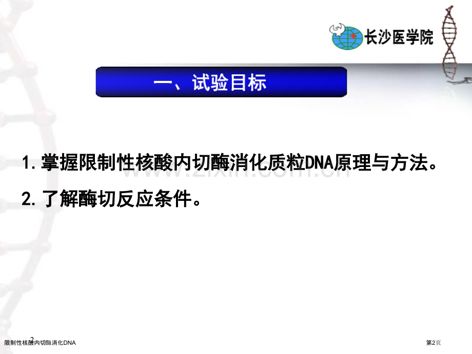 限制性核酸内切酶消化DNA专家讲座.pptx_第2页