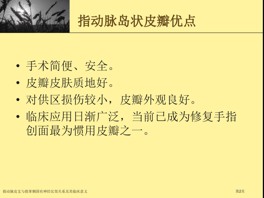 指动脉皮支与指掌侧固有神经比邻关系及其临床意义.pptx_第2页