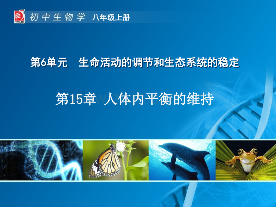 人体内平衡的维持.pptx_第1页
