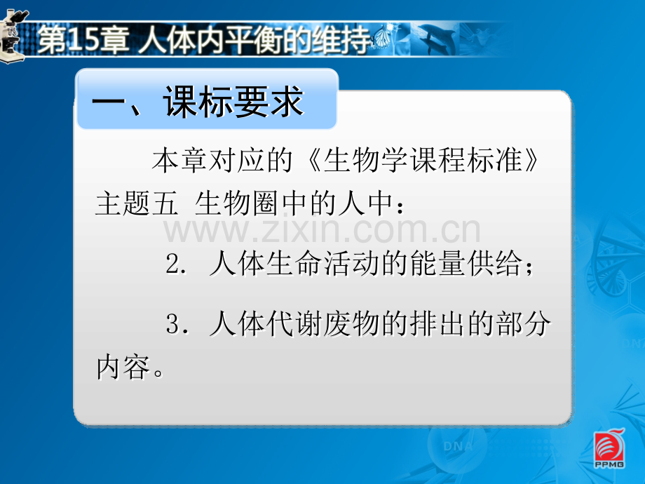 人体内平衡的维持.pptx_第2页