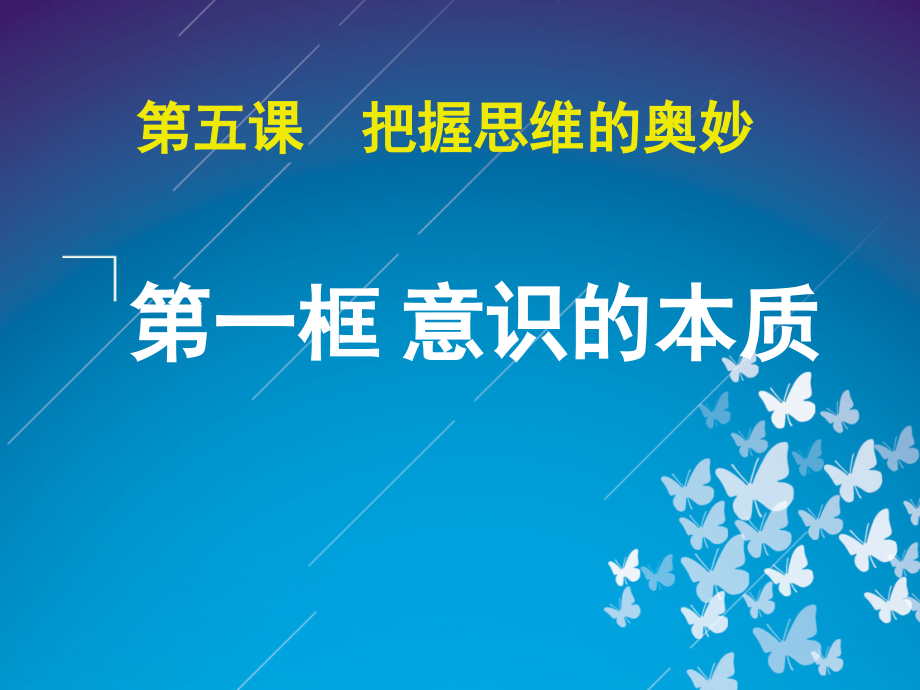 251意识的本质34张资料.pptx_第2页